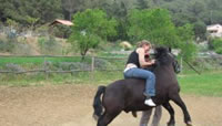 Reiten