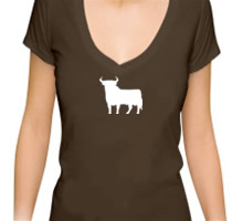 Spanischer Stier